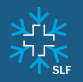 SLF company brand